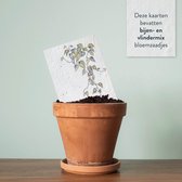 Plant-je Rouw – Condoleance wenskaarten om te planten – 6 groeikaarten – LIEFS – Bijen-Vlindermix