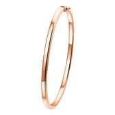 Bangle Scharnier Vlakke Buis 3 X 61 Mm