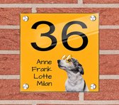 Huisnummer naambord plexiglas 15x15x0,5cm Hond design- met naam bedrukken Huisnummerbordjes, Naambordje voordeur, naamplaatje voordeur, huisnummer bord, huisnummer borden