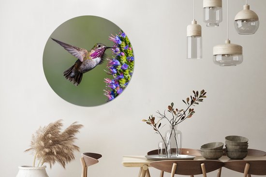 WallCircle - Wandcirkel - Muurcirkel - Kolibrie - Plant - Paars - Aluminium - Dibond - ⌀ 90 cm - Binnen en Buiten