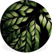 WallCircle - Cercle mural - Cercle mural - Les branches d'une fougère sur fond noir - Aluminium - Dibond - 30x30 cm - Intérieur et Extérieur
