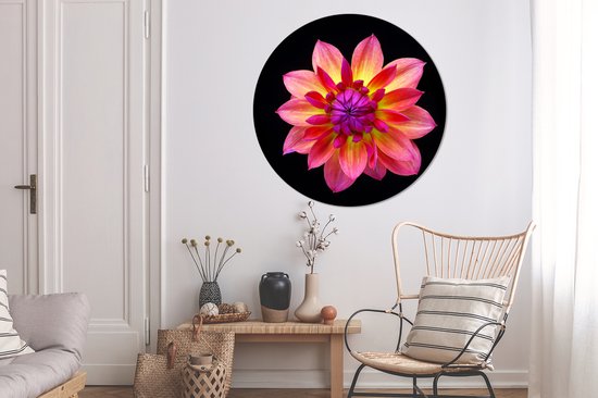 Un gros plan de la fleur de dahlia multicolore sur fond noir Cercle mural aluminium ⌀ 120 cm - tirage photo sur cercle mural / cercle vivant / cercle jardin (décoration murale) XXL / Groot format!