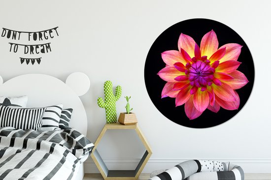 Un gros plan de la fleur de dahlia multicolore sur fond noir Cercle mural aluminium ⌀ 120 cm - tirage photo sur cercle mural / cercle vivant / cercle jardin (décoration murale) XXL / Groot format!