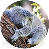 WallCircle - Wandcirkel ⌀ 140 - Koala - Boomstam - Knuffel - Kids - Jongens - Meiden - Ronde schilderijen woonkamer - Wandbord rond - Muurdecoratie cirkel - Kamer decoratie binnen - Wanddecoratie muurcirkel - Woonaccessoires