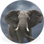 WallCircle - Wandcirkel ⌀ 30 - Olifant - Wolken - Dieren - Natuur - Ronde schilderijen woonkamer - Wandbord rond - Muurdecoratie cirkel - Kamer decoratie binnen - Wanddecoratie muurcirkel - Woonaccessoires