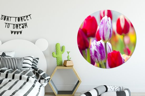 WallCircle - Wall Circle - Wall Circle Indoor - Gros plan de tulipes colorées - 140x140 cm - Décoration murale - Peintures ronds