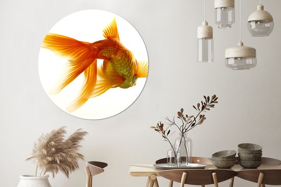 WallCircle - Cercle Mural - Cercle Mural - Poisson Rouge - Animaux aquatiques - Wit - Aluminium - Dibond - 120x120 cm - Intérieur et Extérieur XXL