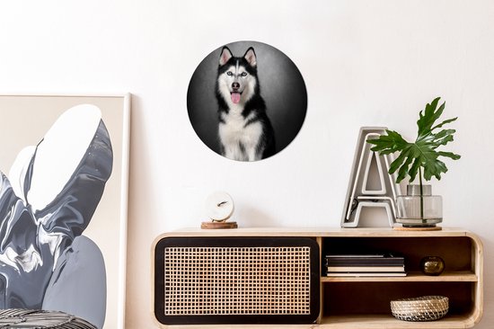 WallCircle - Cercle Mural - Cercle Mural - Husky Sibérien - Aluminium - Dibond - 30x30 cm - Intérieur et Extérieur