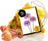 Allium Pakket per 100