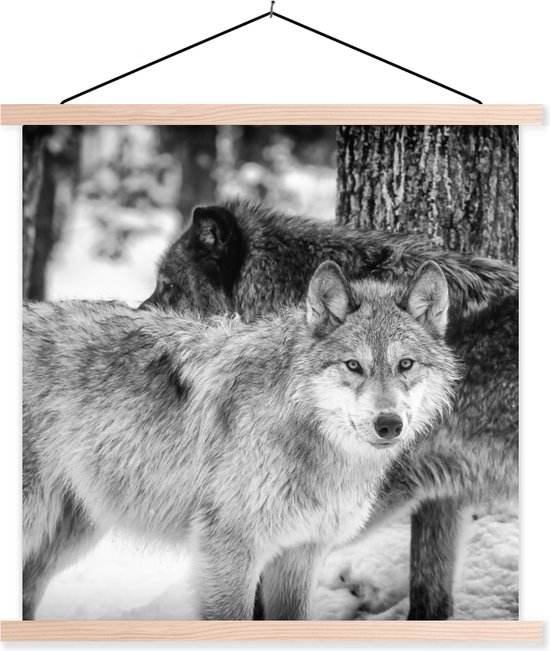 Posterhanger incl. Poster 120x120 cm - Schoolplaat - Groep wolven in zwart-wit - Textielposter - Blanke latten