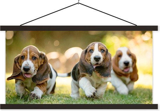 Affiche scolaire - Chiots qui courent dans l'herbe - 150x75 cm - Lattes noires