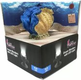 H2SHOW Blue Clam + Blue Light Blauwe Oester + Led