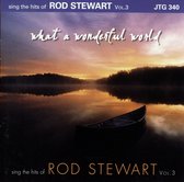 Rod Stewart: What a Wonderful