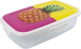 Hega lunchbox Paris Fruit 500 ml 18 x 10 cm roze/geel