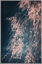 JUNIQE - Poster met kunststof lijst Whispers Of Dusty Pink -40x60