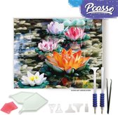 Pcasso® Bloemen Op Water - Diamond Painting - Incl. Veel Diamond Painting Accessoires - Diamond Painting Kinderen - Diamond Painting Dieren - Diamond painting volwassenen - 30x40 C