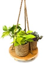 Hangplank plantenhanger ⌀ 35 cm ↕ 70 cm [Trendy - Naturel - Slow Living - Neutraal - Kamerplant - Bloempothanger - Bohemian - Urban jungle]