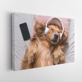 De Golden Retriever draagt ??een koptelefoon die naar muziek luistert - Modern Art Canvas - Horizontaal - 671021971 - 50*40 Horizontal