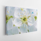 Onlinecanvas - Schilderij - Bloemen Kers Bloeiend Tegen De Achtergrond Bloemen Art Horizontaal Horizontal - Multicolor - 40 X 30 Cm