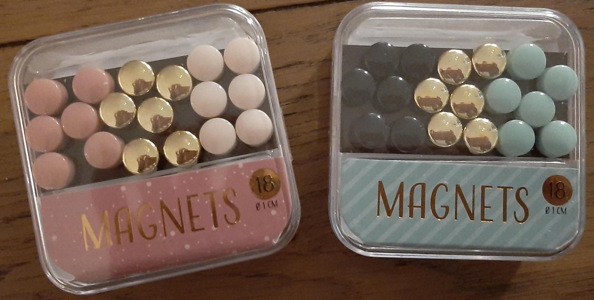 DLP - 18 magneetjes 1 cm - magneten met gekleurde kap klein- rose blauw goud assorti - 18x magnets small - dlp industry