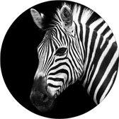 Glasschilderij rond | Zebra | 60CM