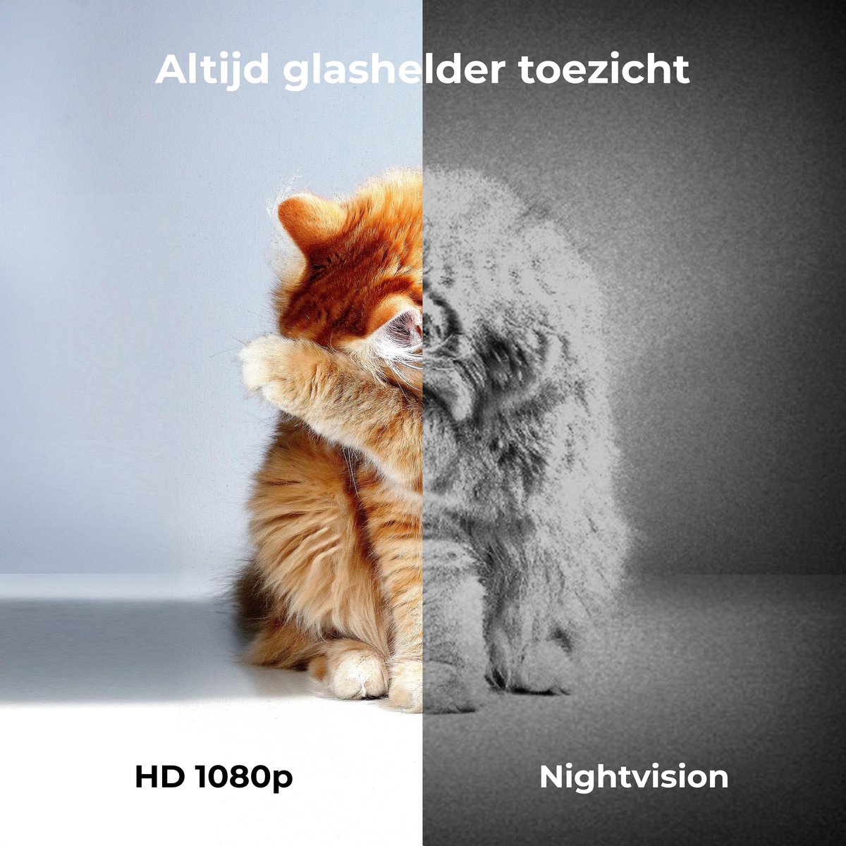 Pettadore Nutri View 2 - Automatische Voerbak Kat/Hond - Voerautomaat Kat - Smart Met Camera En App - Wit - 3.7 L thumbnail 6