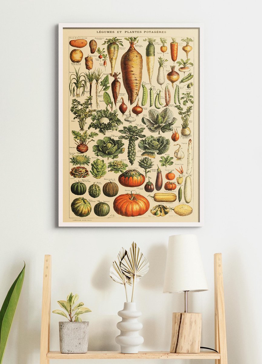 Esque Poster In Witte Lijst - Vintage Groenten - Educatief - Botanisch - 70x50 cm