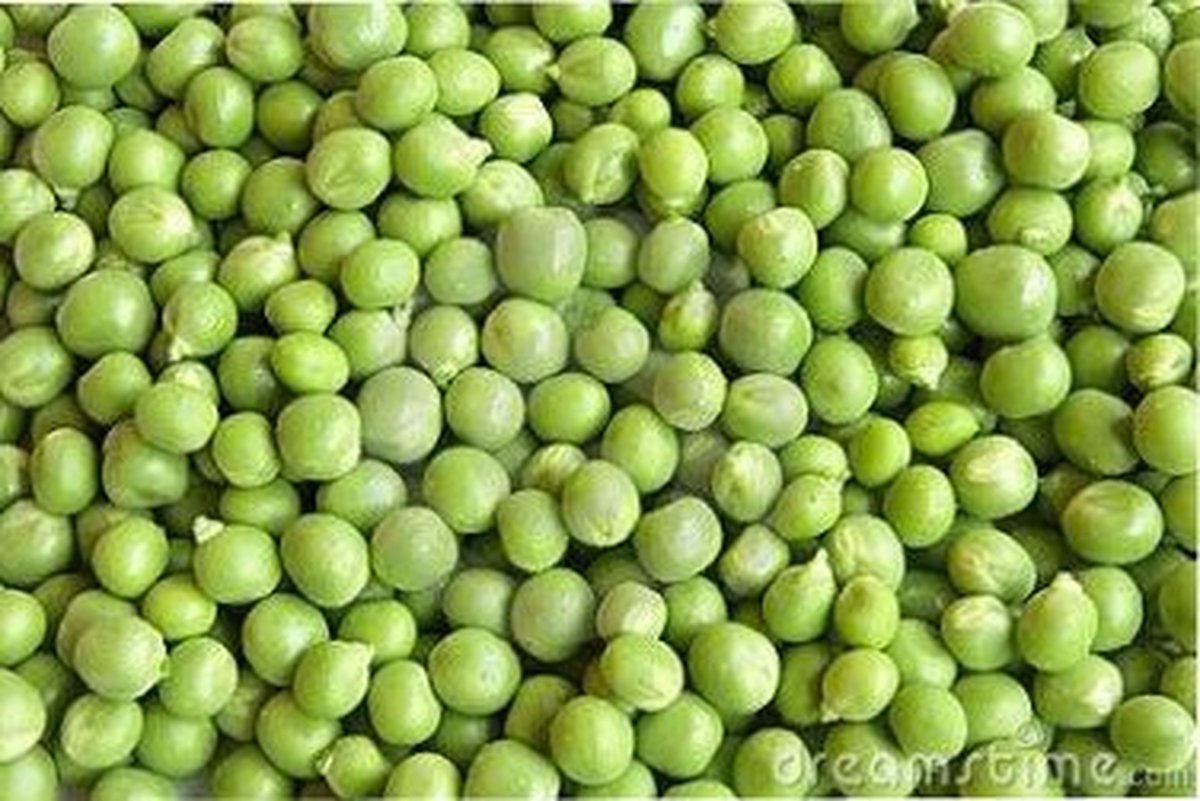 Wielink Groene erwten 25KG