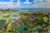 Luchtfoto van de Supertree Grove van Singapore - Foto op Tuinposter - 60 x 40 cm