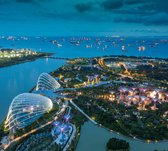 Luchtfoto van de supertrees in de tuinstad van Singapore - Fotobehang (in banen) - 450 x 260 cm