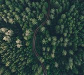 Droneshot van een bos - Fotobehang (in banen) - 250 x 260 cm