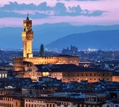 Uitzicht op Palazzo Vecchio en de stad Florence - Fotobehang (in banen) - 350 x 260 cm