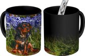 Magische Mok - Foto op Warmte Mok - Een Cavalier King Charles-spaniël tussen de blauwe bloemen - 350 ML