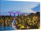 Supertree Grove in Gardens by the Bay in Singapore - Foto op Canvas - 150 x 100 cm