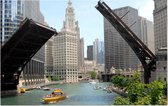 Plezierboten op het waterfront in Downtown Chicago - Foto op Forex - 45 x 30 cm