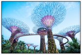 De bomen van Gardens by the Bay in Singapore bij daglicht - Foto op Akoestisch paneel - 90 x 60 cm