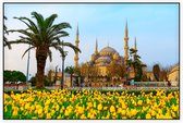 De Blauwe Moskee van Sultan Ahmed in Istanbul - Foto op Akoestisch paneel - 90 x 60 cm