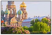 Sint-Petersburg in bloei bij de Orthodoxe kerk Spas na Krovi - Foto op Akoestisch paneel - 90 x 60 cm
