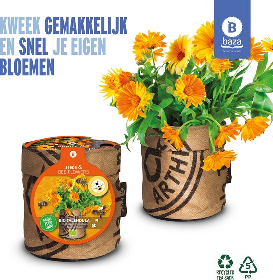 8 planten tegen muggen 17 Seeds & BEE-Flowers kweekset Goudsbloem