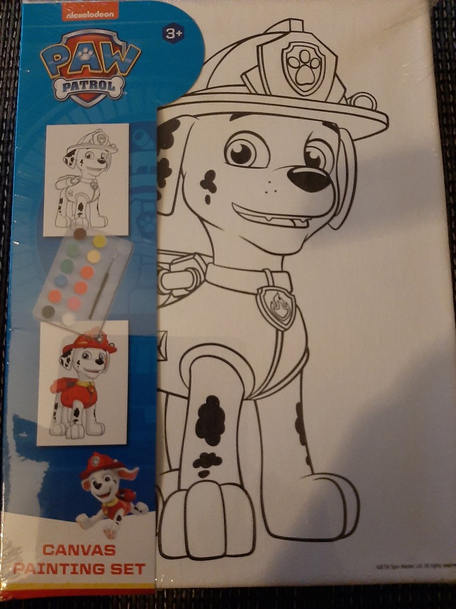 Paw patrol Canvas painting set / 18x25 cm