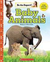 Be an Expert!- Baby Animals (Be an Expert!)