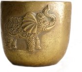 - planter cement ø14.5x12cm - gold - 145x12x