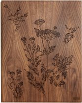 Schilderij | Amerikaans noten | Botanische print | ↑57cm - 57cm