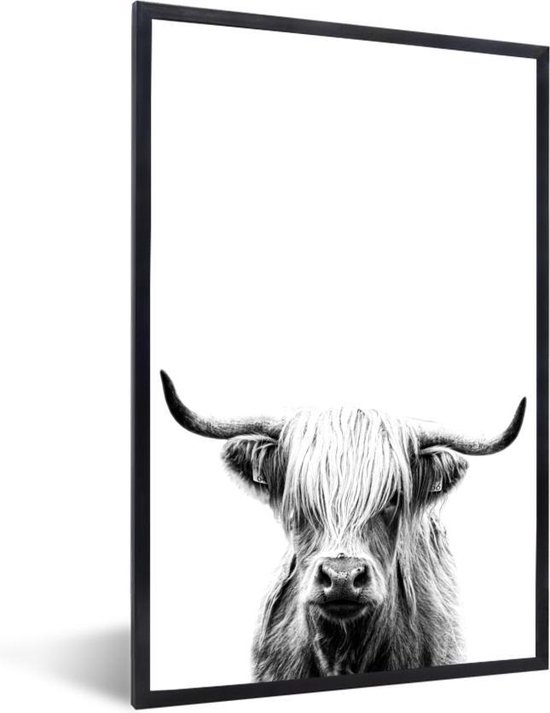 Fotolijst incl. Poster Zwart Wit- Schotse hooglander op een witte achtergrond - zwart wit - 60x90 cm - Posterlijst