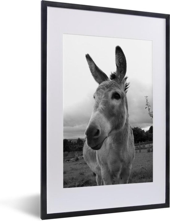 Cadre photo avec poster Zwart et Wit- Âne de près - noir et blanc - 40x60 cm - Cadre poster