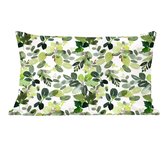 Noël - Plantes - Gui