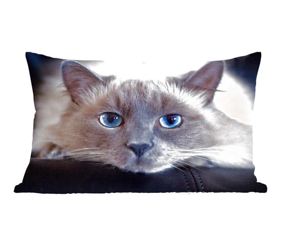 Sierkussens - Kussen - Liggende kat met prachtige ogen - 50x30 cm - Kussen van katoen