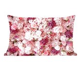 Fleurs - Rose - Roses