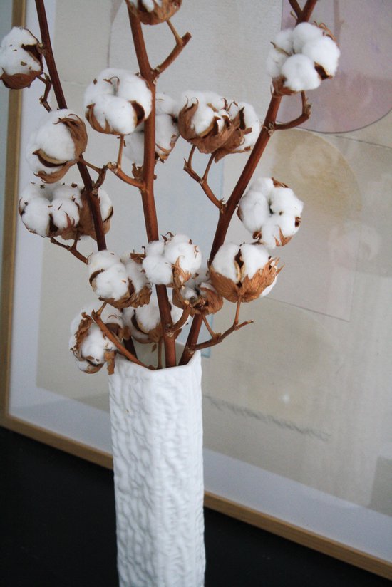 Fleurs séchées - Branches de coton marron / Boules de coton - Couleur  marron naturel -... | bol.com