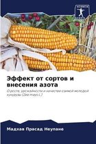 Эффект от сортов и внесения азота